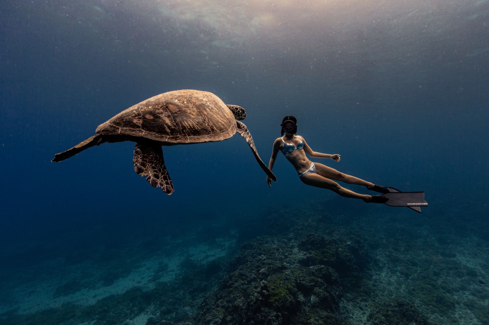 A freediver greeting a sea turtle underwater
