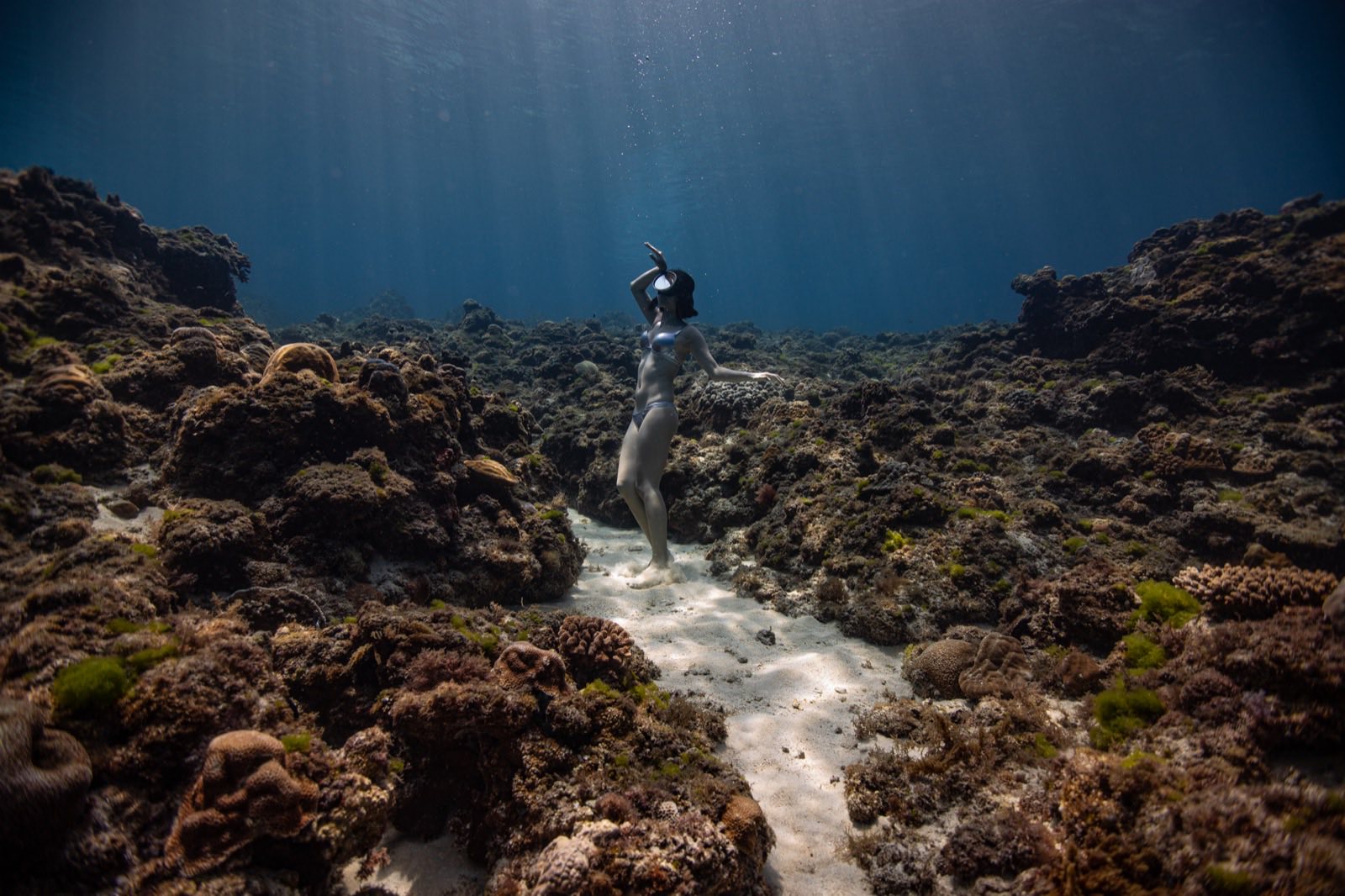Freediving photography in open water around Xiaoliuqiu