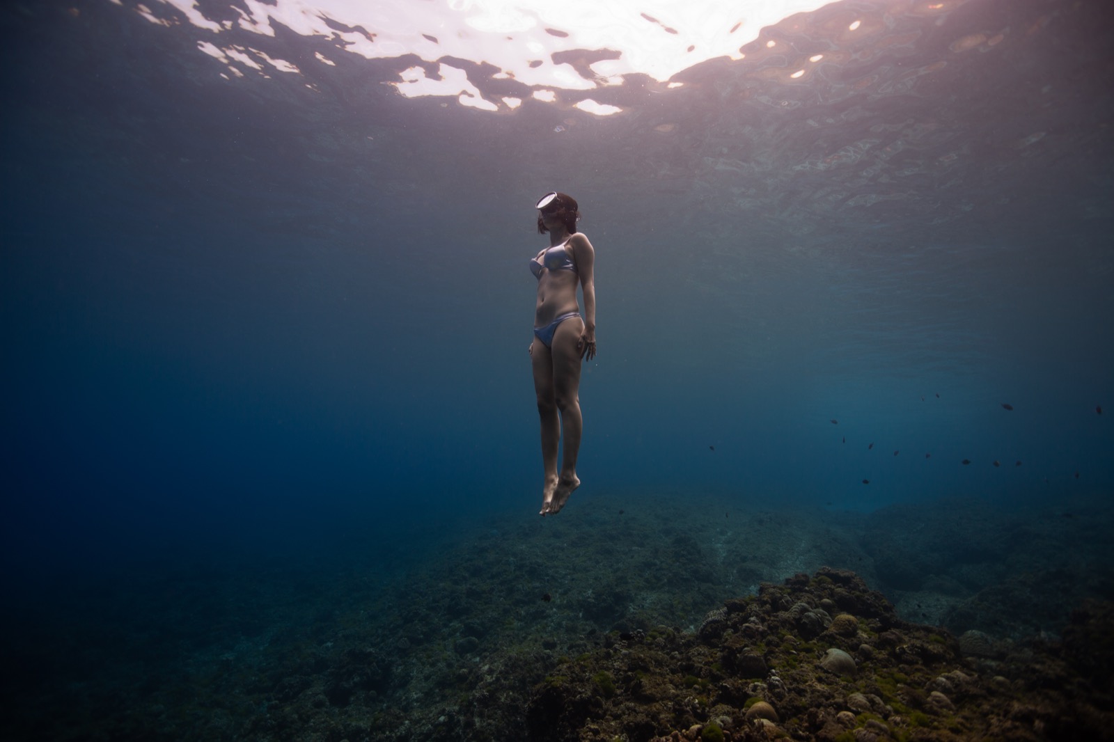 Freediving photography in open water around Xiaoliuqiu