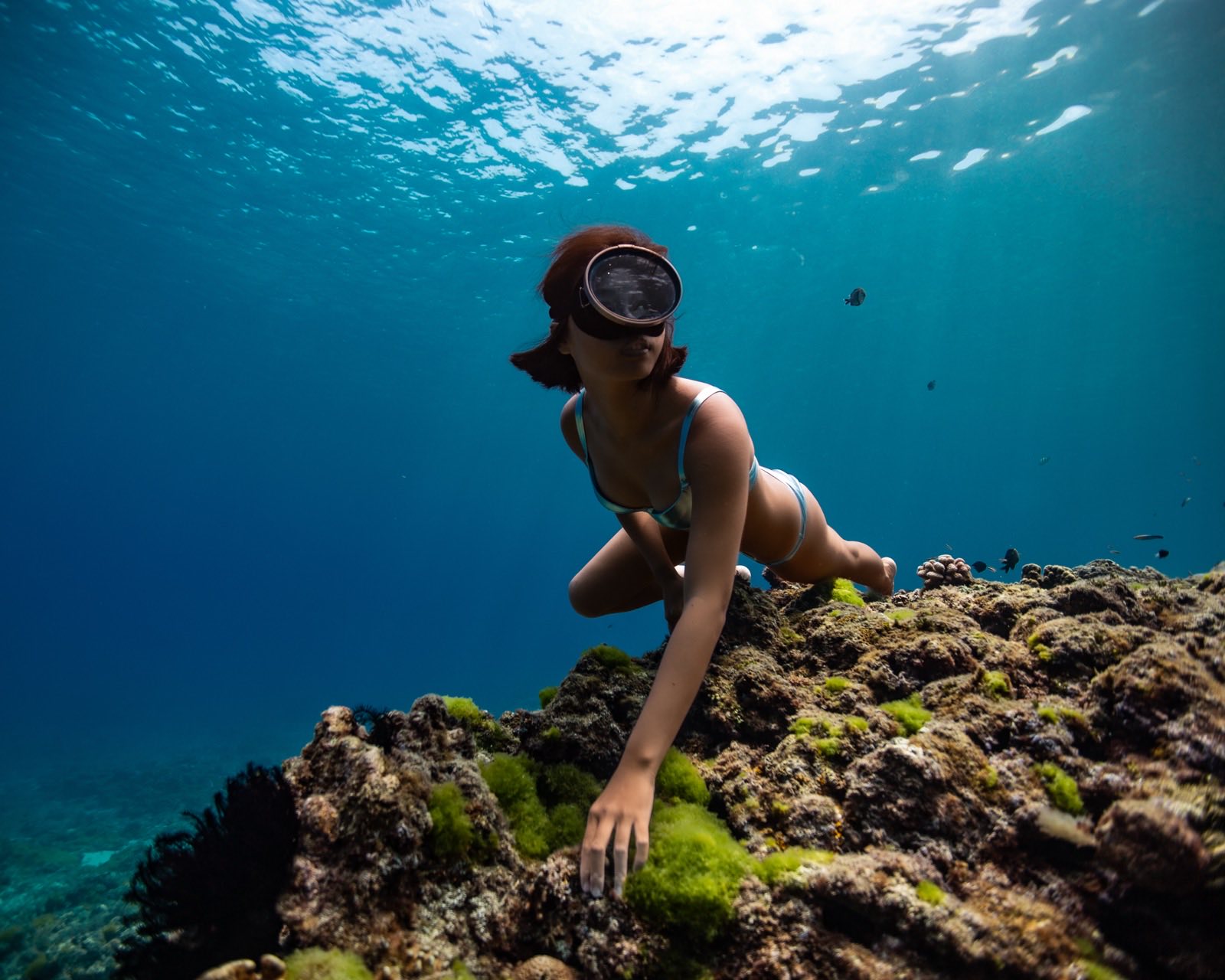 Freediving photography in open water around Xiaoliuqiu