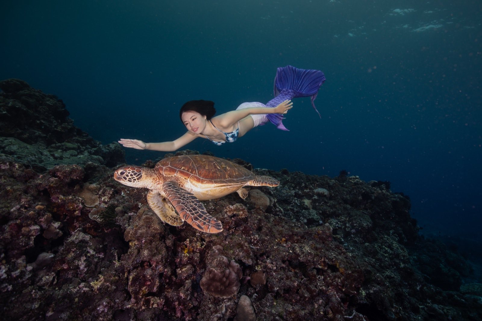 Freediving photography in open water around Xiaoliuqiu